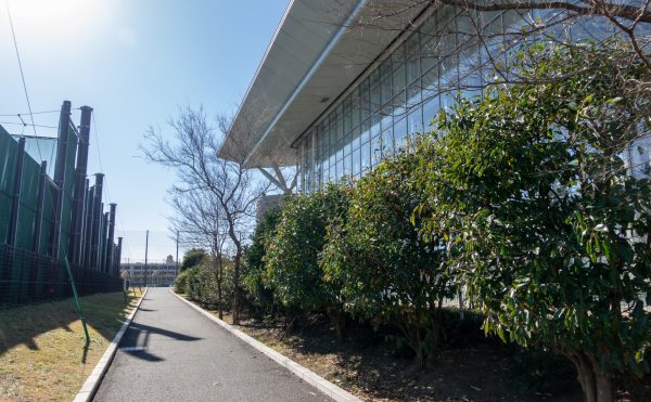 浦安市　飛散防止フィルム