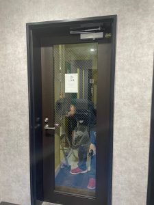 扉　ダイノックシート