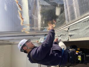 愛甲郡 フィルム 剥がし